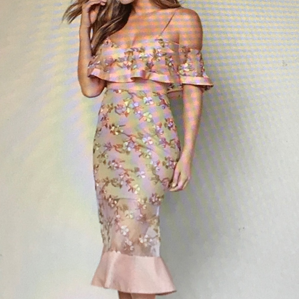 Venus Embroidered dress size 6 NWT